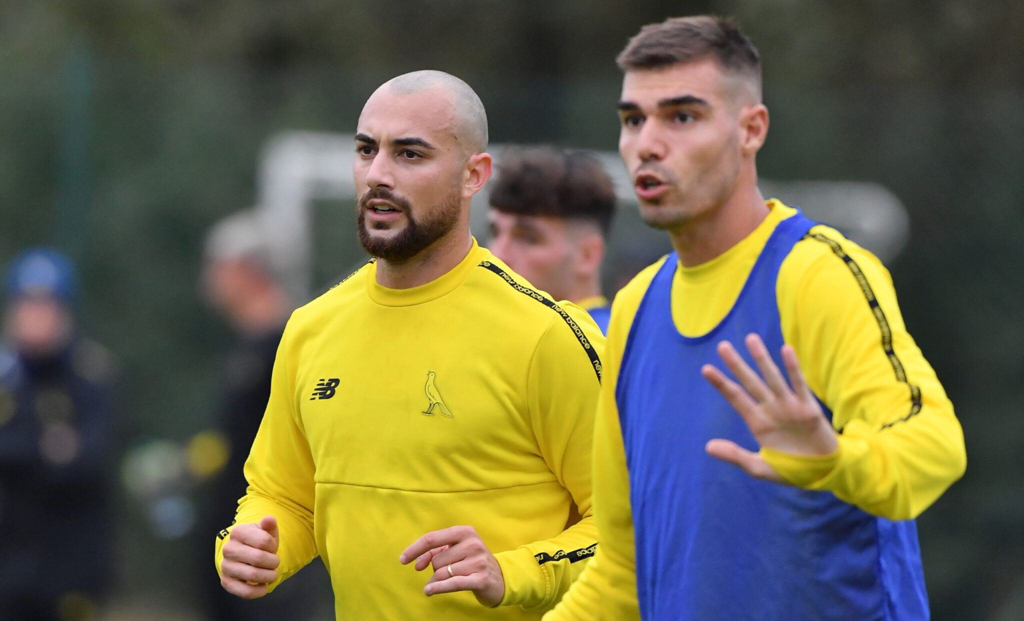 Gliozzi e Zaro allenamento Modena-Palermo